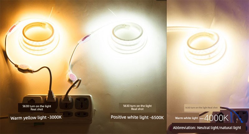 45482944430305|45482944757985