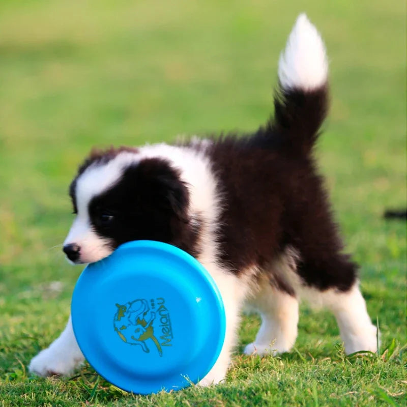 18.5cm Fashion Pet Dog Silicone Game Flying Saucer Dog Toy Flying Discs Trainning Interactive Toys Pet Supplies Flying Disc